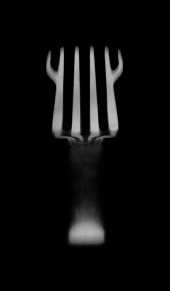Abstract image of a polished fork. HungryWare Utensil Set by All Design Lab.